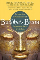 Buddha's Brain: The Practical Neuroscience of Happiness, Love, and Wisdom 