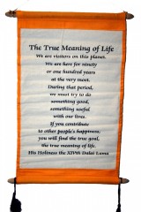 The True Meaning of Life: