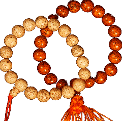 Lotus Seeds Hand Malla 
